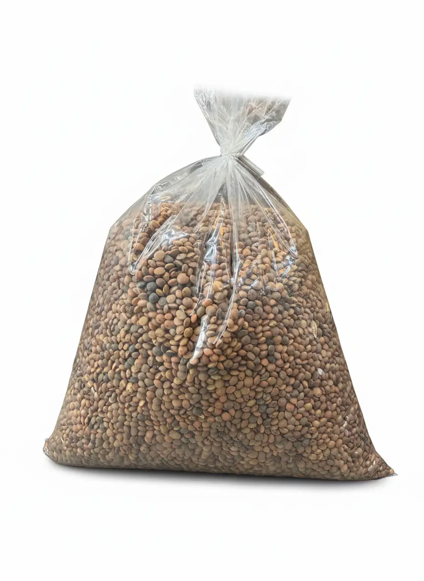 عدس