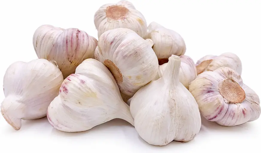Garlic Baladi