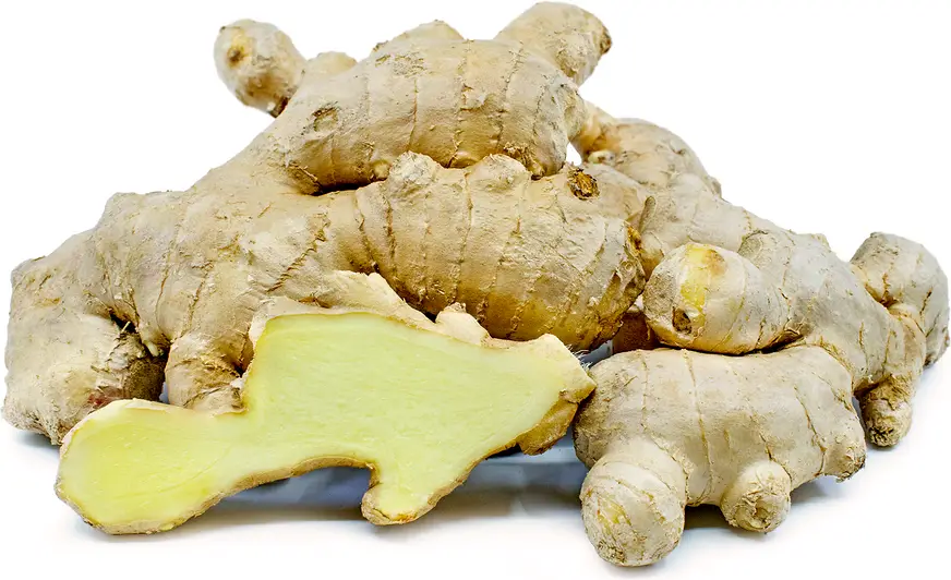 Ginger 