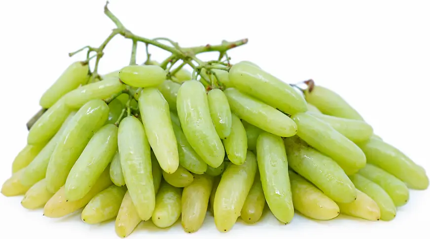 عنب بيتموني