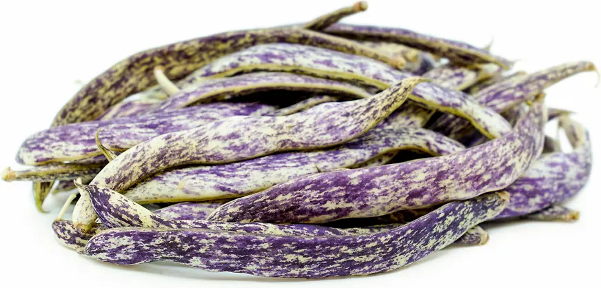 فاصوليا عائشة خانوم