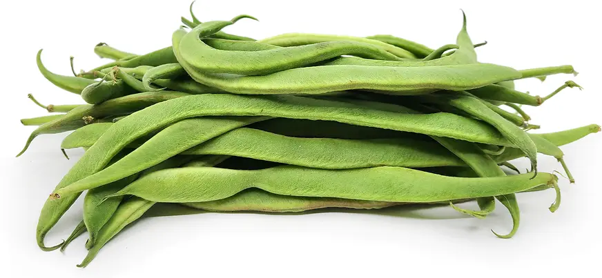Green Beans Bedriye
