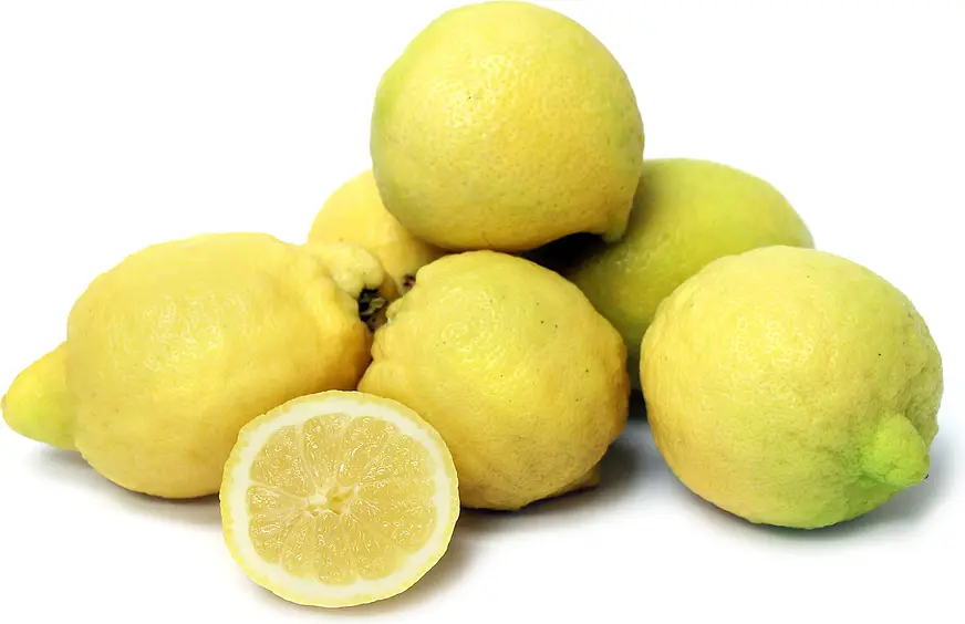 Lemon 
