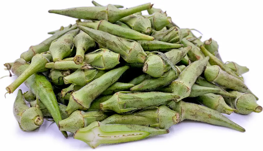 بامية 