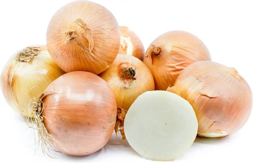 Onions Echalotte