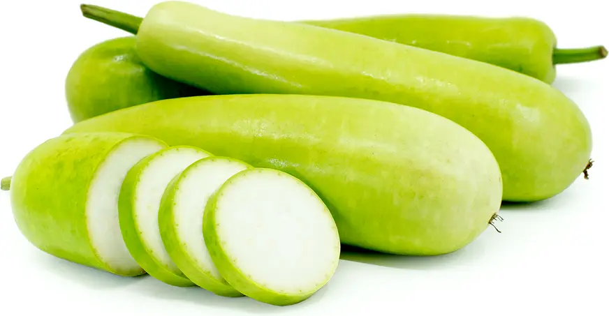 Zucchini Karaa Long