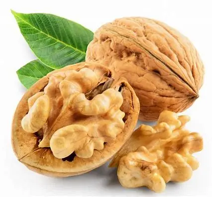 جوز