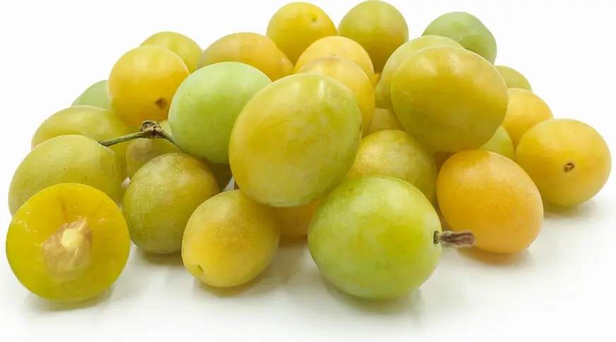 Plum White