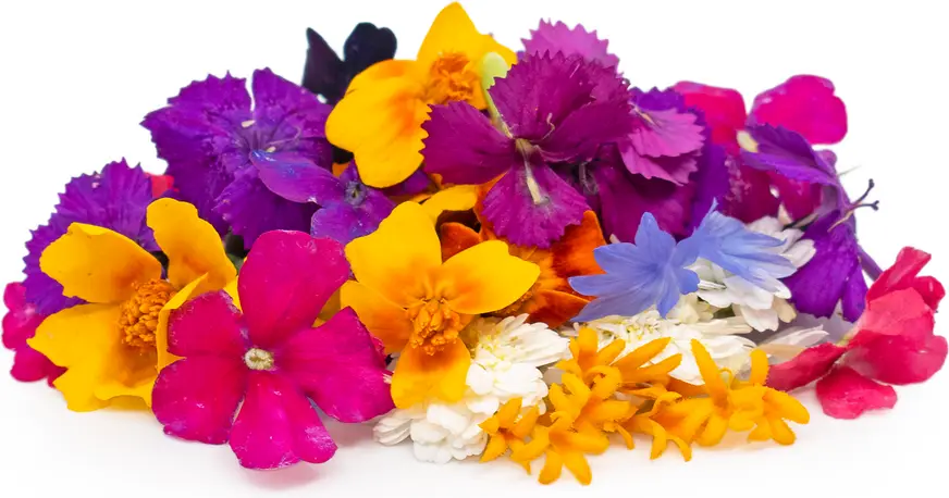 Flowers