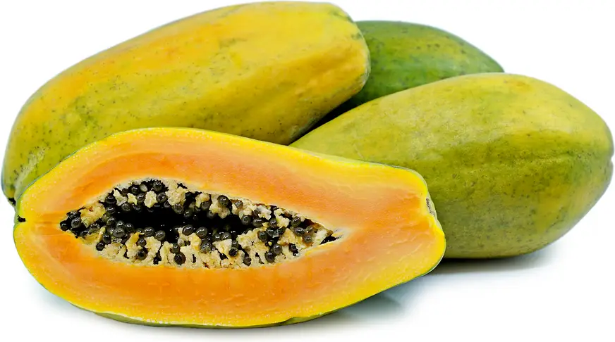 Papaya 