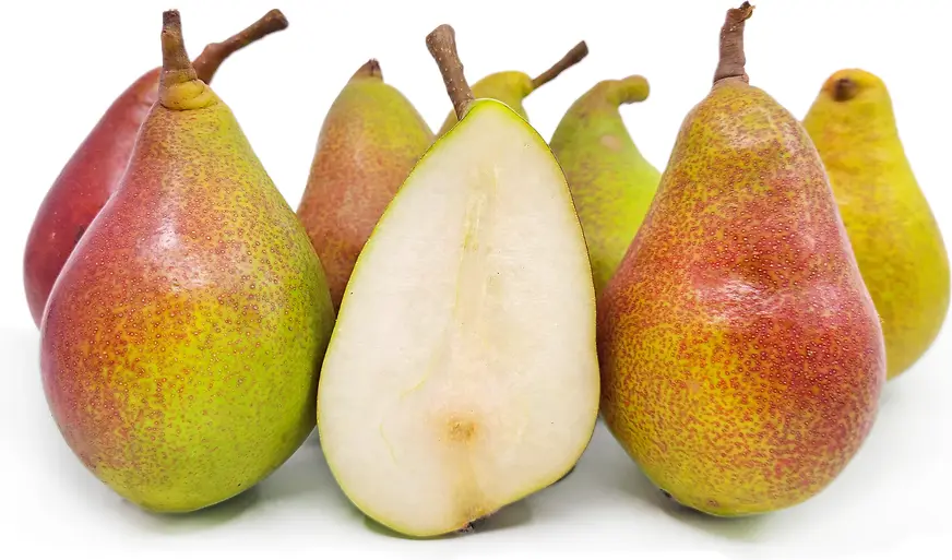 نجاص كاليفورنيا