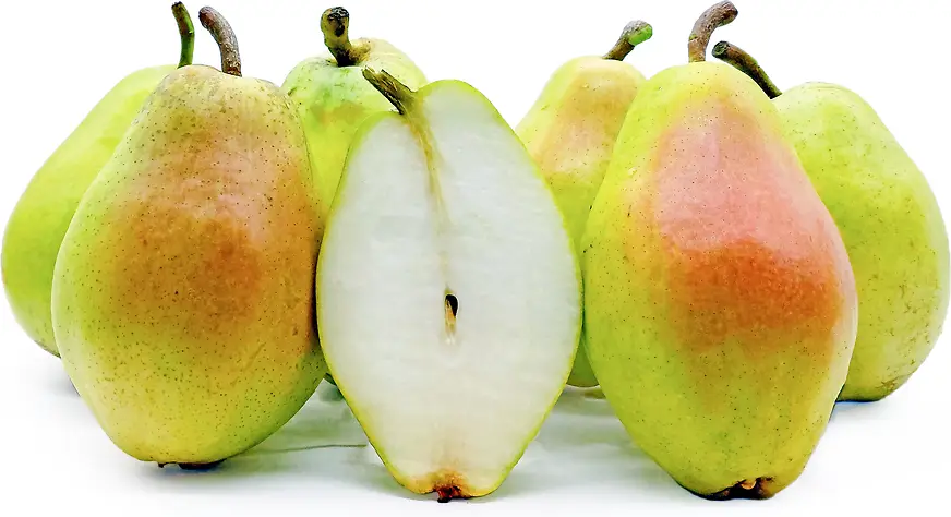 Pear Turkey