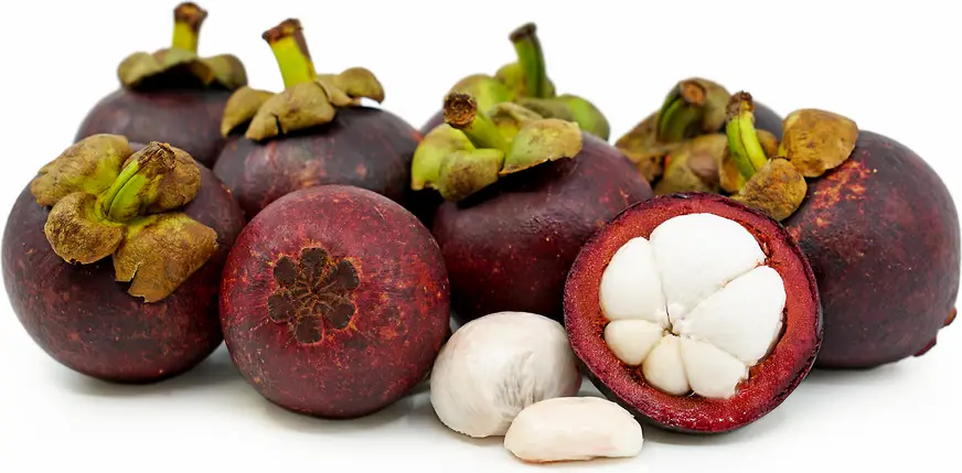 منجوستن 