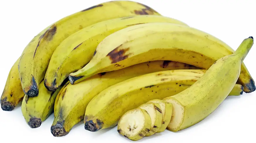 موز بلاتنو