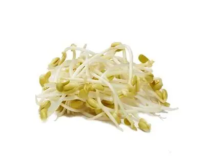 Soy Bean Sprouts