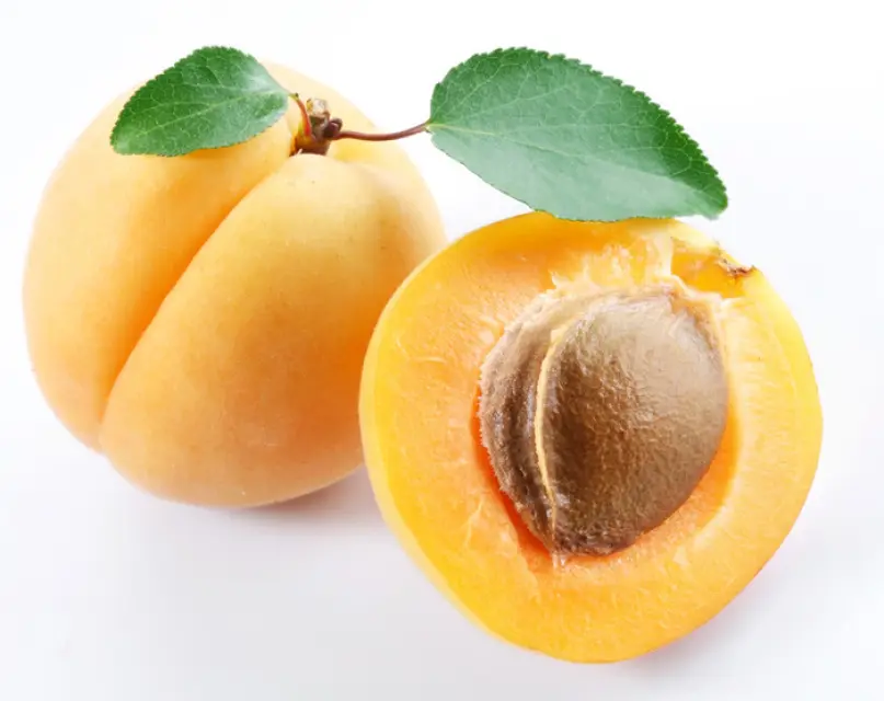 Apricot Bayadi