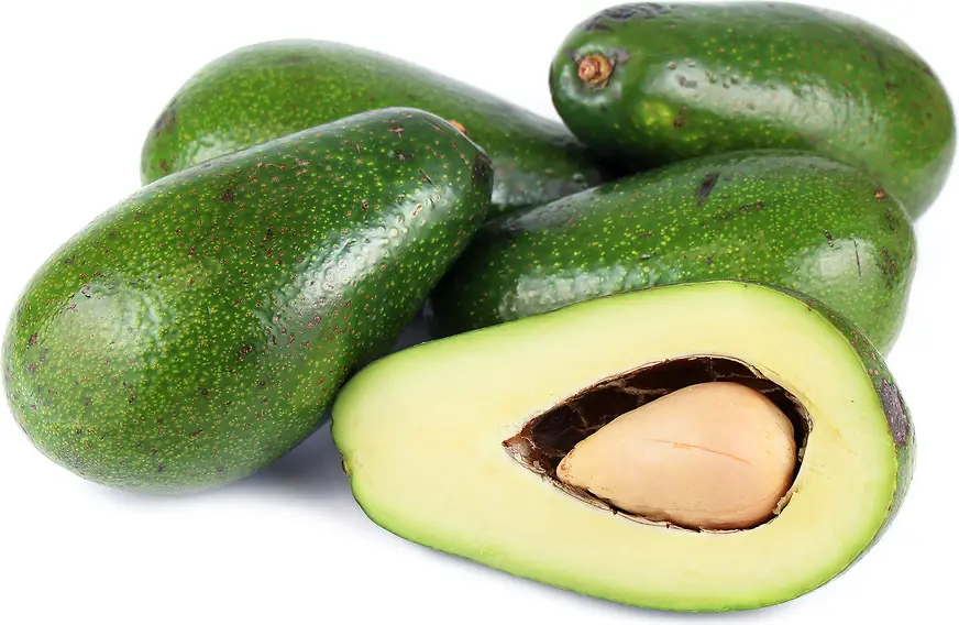 Avocado Ettinger