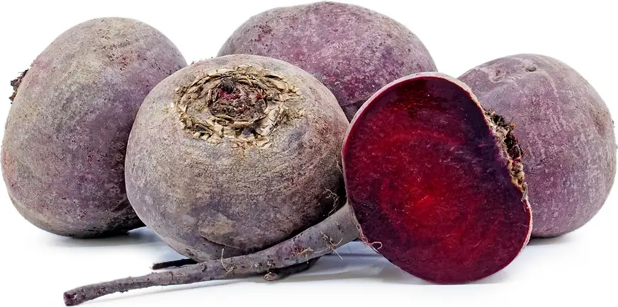 Beetroot 