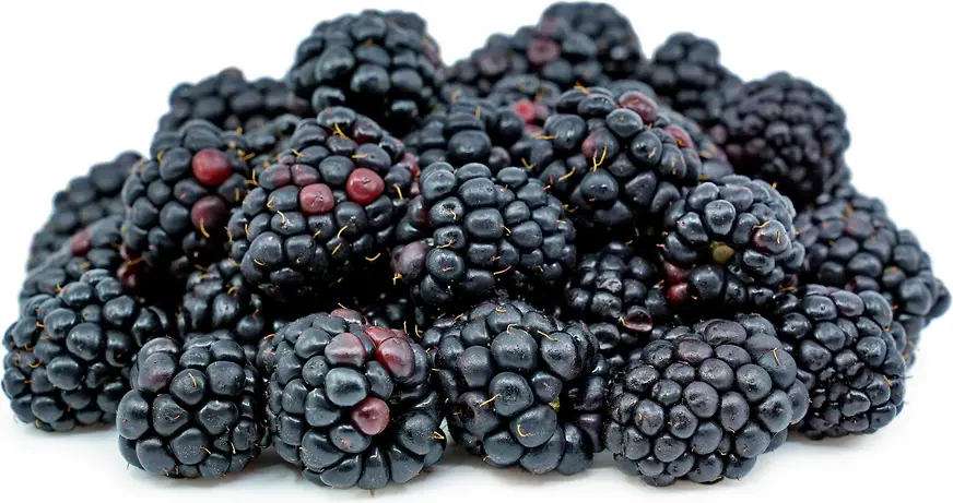 Blackberry 