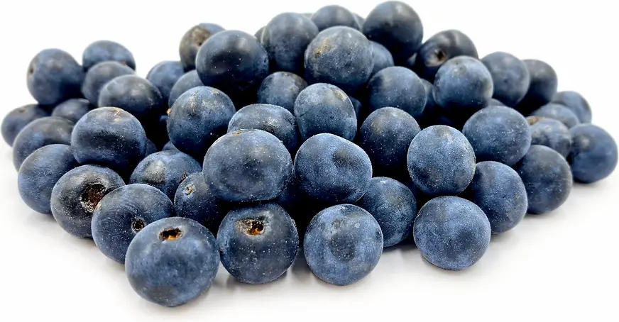Blueberry 