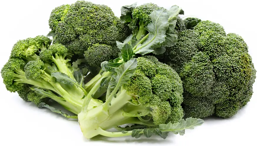 Broccoli 