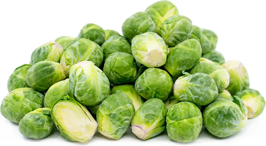 بروسل سبروت 