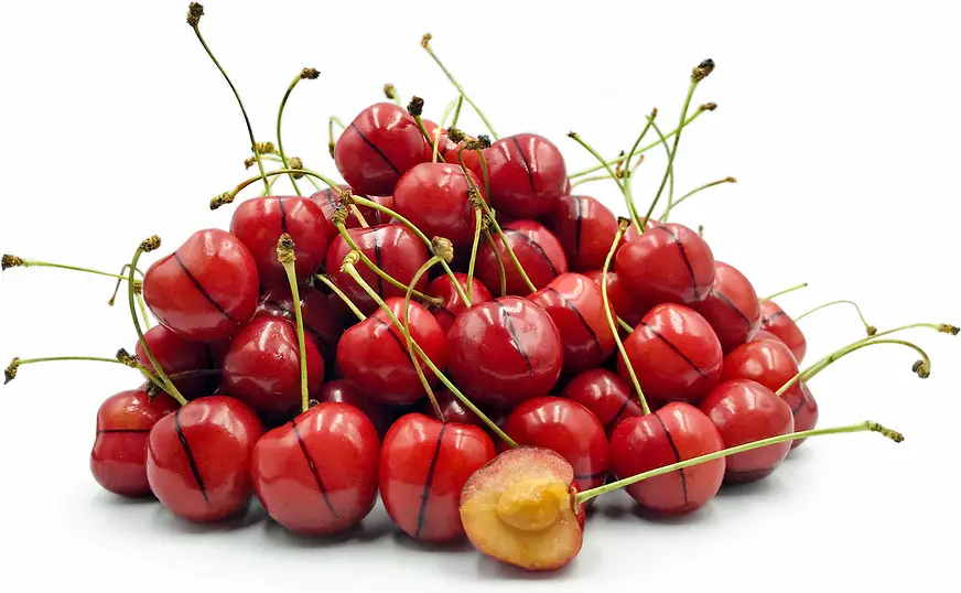 Cherry Moukahal