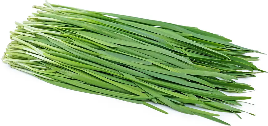 Ciboulette