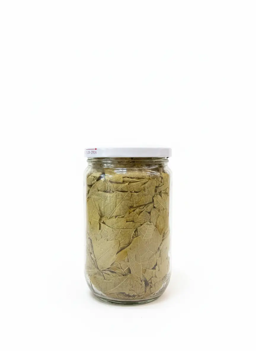 Baladi Vineleaf 
