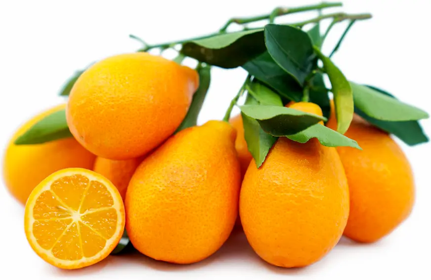 Orange Chamouti