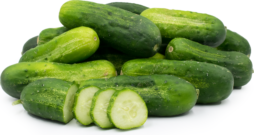 Cucumber Shamsi