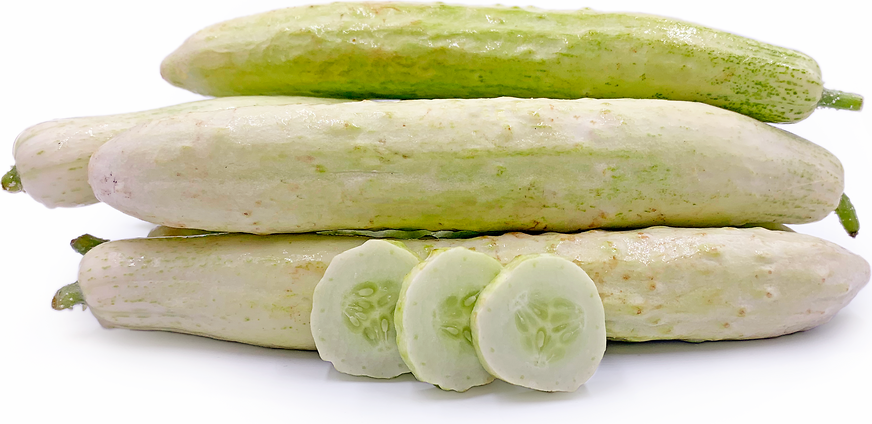 Mekti