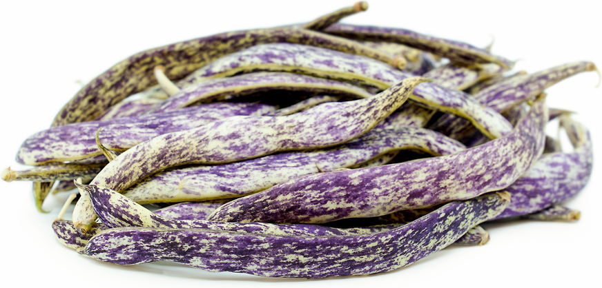 Lima Beans