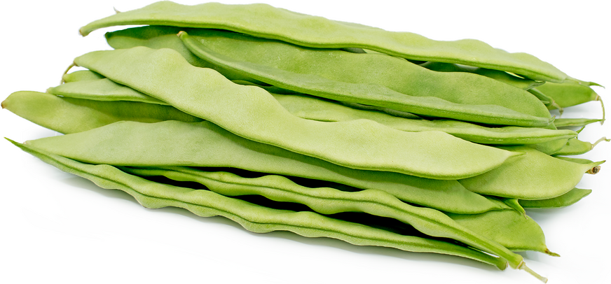 Green Beans  Arida
