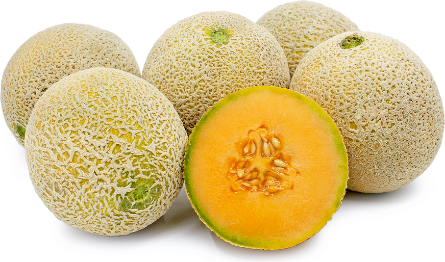 Melon 