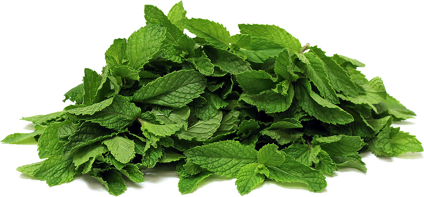 Mint 