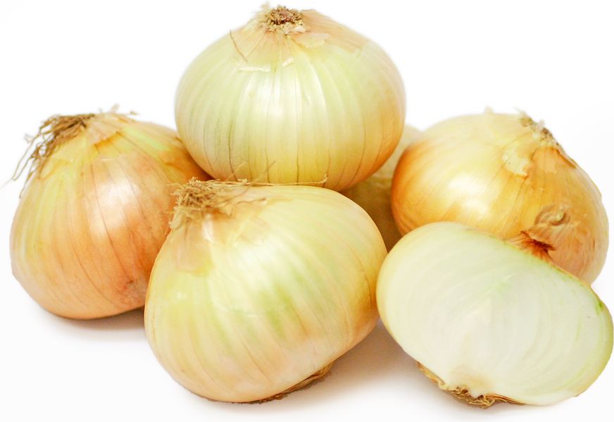 Onions
