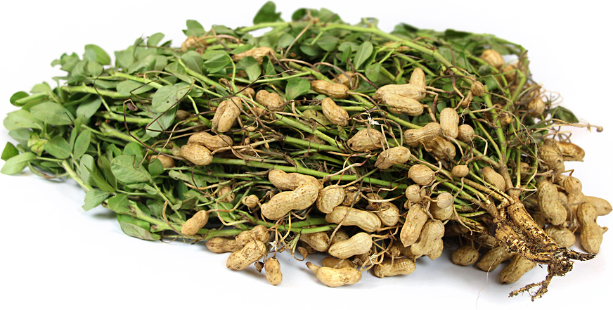 Peanuts 