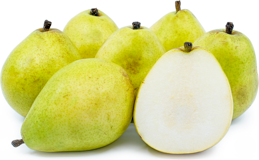 Pear Coushi
