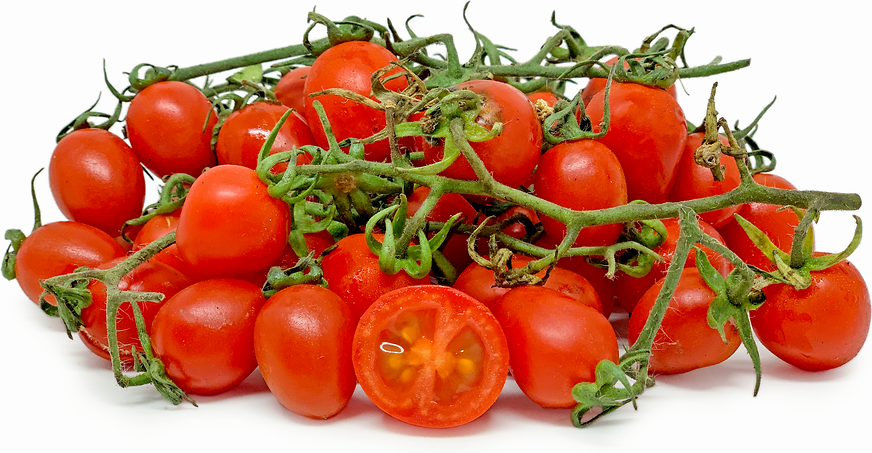 Tomato Vine