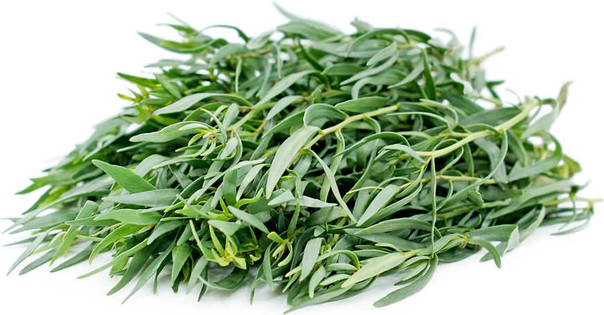 Thyme Green