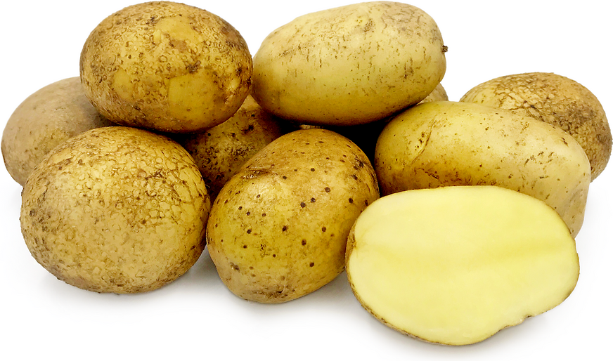 Potato 