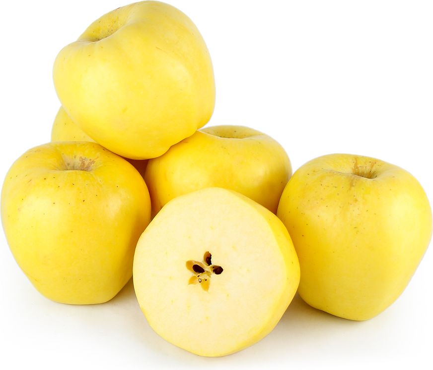Apple Yellow
