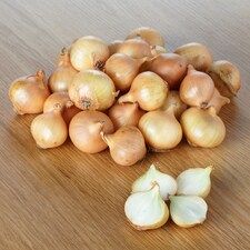 Onions Mini