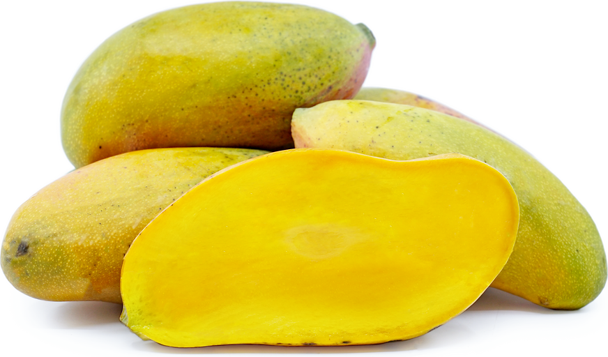 Mango Timor