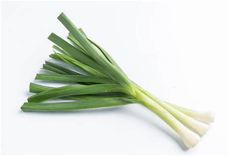 توم أخضر
