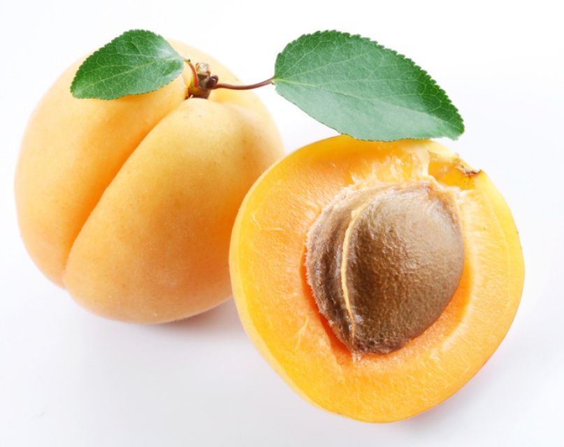 Apricot Bayadi