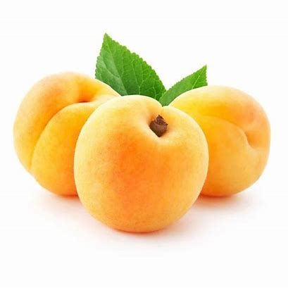 Apricot Ajami