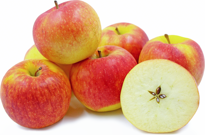 Apple Pink Lady