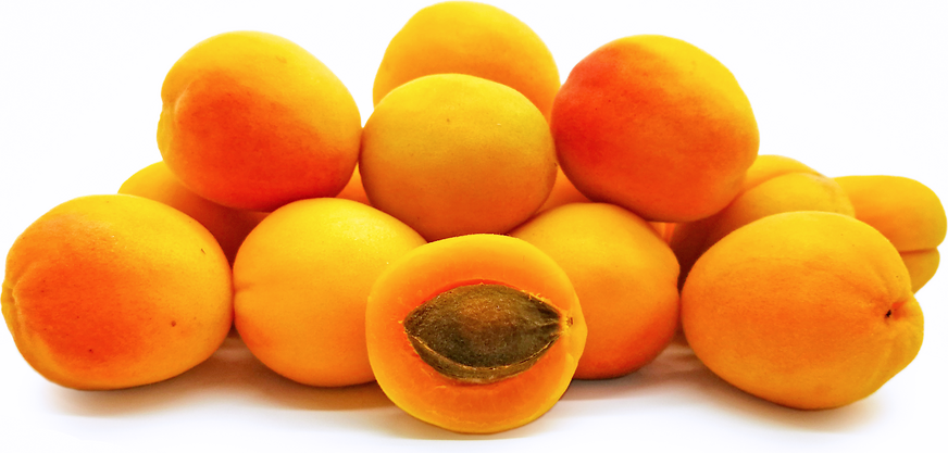 Apricot Red